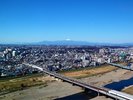 ホテルからの眺望