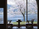 桜の季節