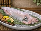 白いか(イメージ)
