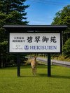 鹿にあえるかも!