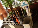 入口傘立て