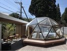�yDome Koti 501�z�O��