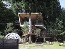 �yTree Koti�z�O��