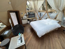 �yDome 501�z����