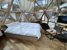 �yDome 503D�z����