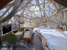 �yDome 652D�z����