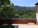 �yDome Koti 505S�z���]