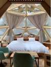 �yDome 505S�z����