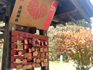 【周辺施設:上山城】縁結びの神様が祭られています