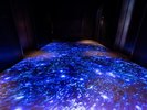 ◆館内施設|18階・EVホール(流れ星がフロントまでご案内します)