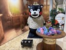 くまもん