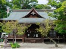 熊本大神宮(通称:熊本のお伊勢さん)