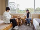 【ドッグフレンドリールーム スタンダードツイン(バス付)】ワンちゃんと一緒にご宿泊♪