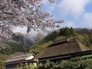 春のやきもち家