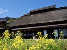 春のやきもち家