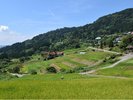 栃倉の棚田
