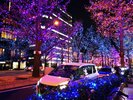 �䓰�؃C���~�l�[�V����2022�@1