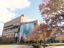 紅葉も桜も。日常では見逃してしまう風景が、ここではご褒美になります。