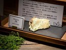 石っこ賢さんのお休み処 展示物