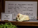 石っこ賢さんお休み処 展示物