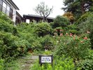 茶寮かだん(旧橋本家)「宮沢賢治ゆかりの花壇」
