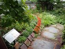 茶寮かだん 宮沢賢治最後の造園であり、当時の素材のまま現存する唯一の作品であると言われています。