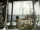 宮沢賢治『産湯の井戸』