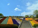【笛吹川フルーツ公園】お車で30分。花とフルーツとワインの公園をテーマとして整備された都市公園。