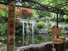 【昇仙峡ロープウェイ】終着点の仙が滝駅は済んだ空気と滝の音に心がそっと整います。