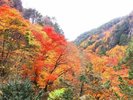 【昇仙峡】お車で30分。紅葉のグラデーションが秋の訪れをささやきます。