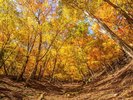 【西沢渓谷】秋の西沢渓谷は辺り一帯が紅葉に囲まれとても綺麗です。当館よりお車で約50分。