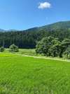 五十沢の田園風景