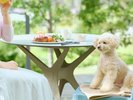 �u�₩�Ȓ����������Ȃ���A�����Ɗy���ޒ��H�v���[�g�B�����Ƃ̃��[�j���O�^�C�����������߂ł��B