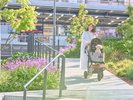 �Ő��G���A�́A�o�M�[�J�[�g�܂��̓}�i�[�E�F�A�̒��p�ł����p�\�ł��B