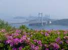 初夏のホテルから見た瀬戸大橋