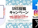 SNS���e�L�����y�[��