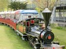 *森林鉄道 / 森の中を走るノスタルジックなトレイン旅!
