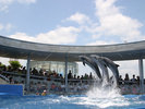 うみたまご水族館