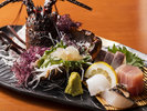 【プレミアム-造り】料理イメージ