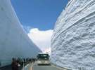 雪の大谷を歩いてみませんか♪