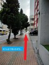 �E��Ƀz�e���������Ă��܂��B