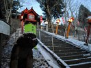 �y�F��c��_�Ёi�~�j�z��F�̓��Ă��f����~�̌F��c��_�ЁB