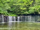�y�����̑�z�������̂悤�Ɋ�؂ɂ����ꗎ���锒���̑�B