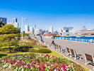 徒歩16分の山下公園は海とみなとみらいの景色が一望でき、園内は花や緑が溢れています。