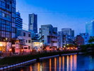 ホテル周辺も飲食店が多いですが、徒歩12分の野毛では飲み歩きが楽しめます。