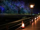 嵐山花灯路