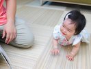 �n�C�n�C���錎��̂��q�l�����S