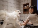 専用入口すぐのところに待合室、足洗い場を完備