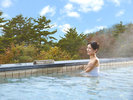 塩化物泉:よく温まり湯冷めしにくいのが特徴。