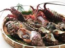 新鮮食材を提供